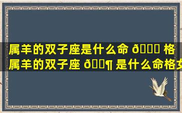 属羊的双子座是什么命 🐎 格（属羊的双子座 🐶 是什么命格女）